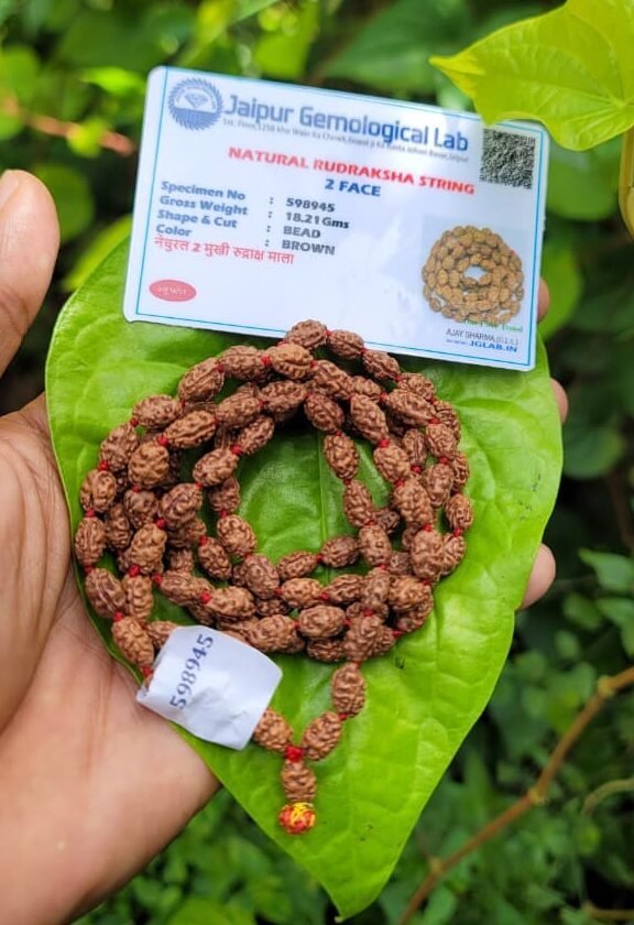 2 Face (Mukhi) Rudraksha mala-108 Beads