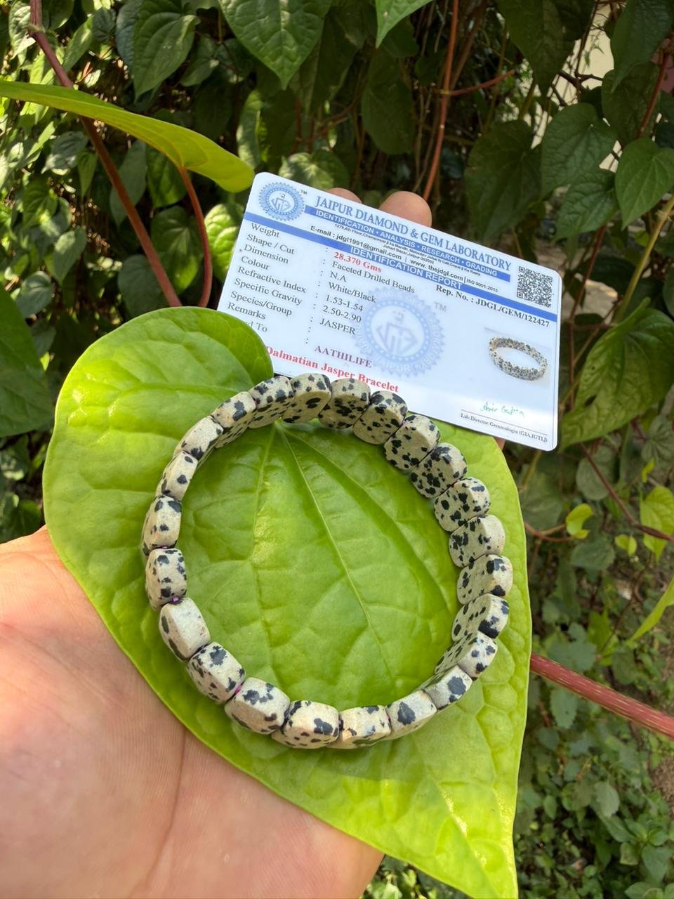 Dalmatian Jasper Ovel Bracelet