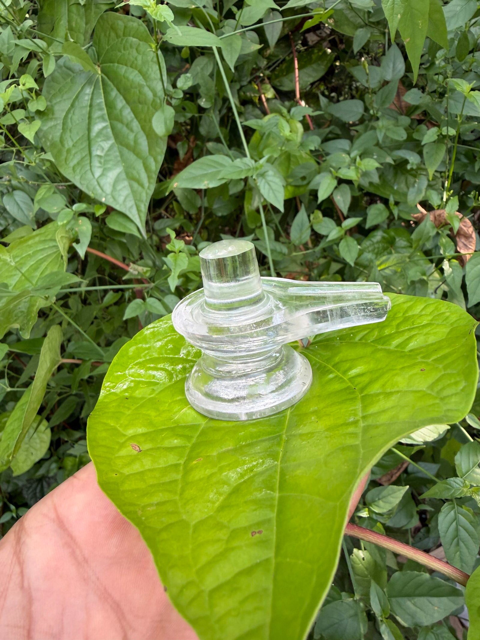 Premium Spadiga shiva lingam