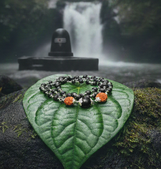 Karungali German Silver Mala With dual Rudraksha Dollar – 8mm