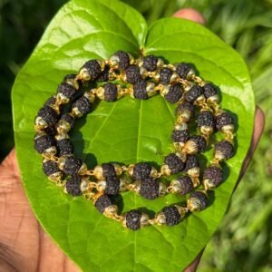 Black Rudraksha Gold Plated mala 42 beads-8mm