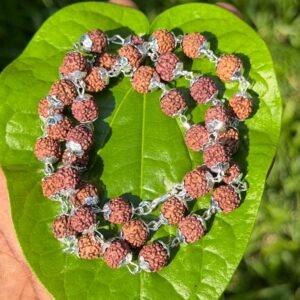 Rudraksha German Silver mala 42 beads-9mm