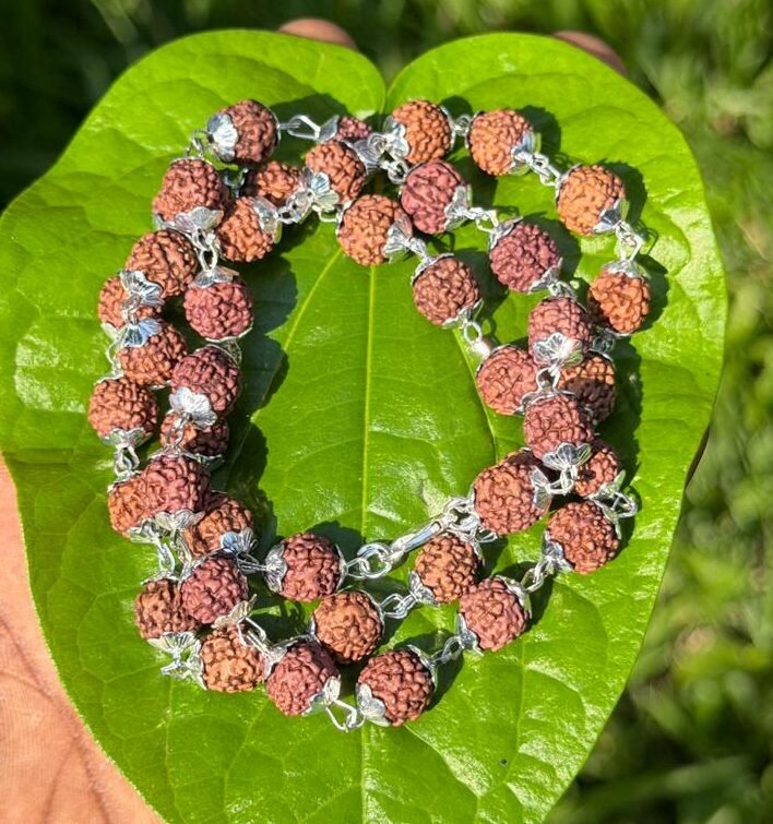Rudraksha German Silver mala 42 beads-9mm