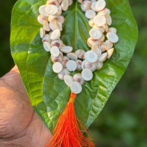 Gomathi Chakra Mala