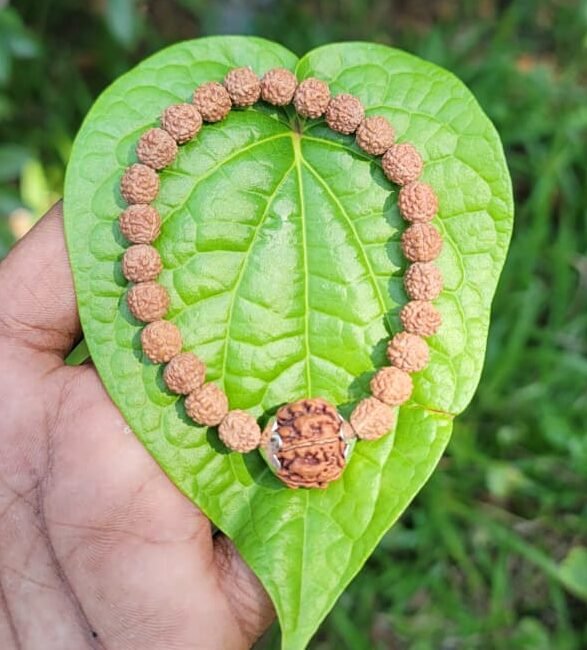 Rudraksha Bracelet 8mm with 5 face Rudraksha
