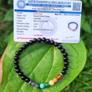 Karungali with Seven Chakra Bracelet – 6mm