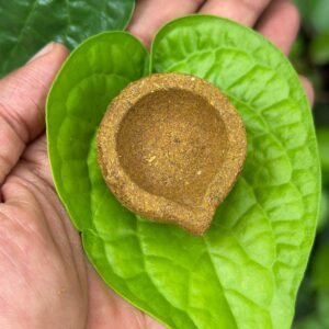 Panchakaviya Vilakku (pack of 25)
