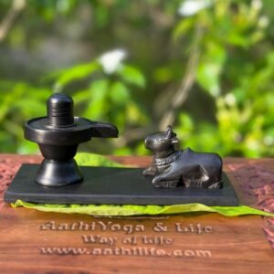 Big Karungali Shiva Car Dashboard & Pooja Room