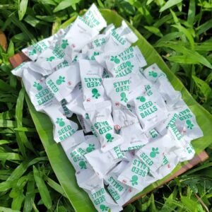 Seed Balls