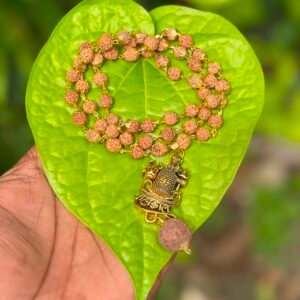 Rudraksha Gold Plate Mala With Mahakal Rudraksha Dollar 7mm