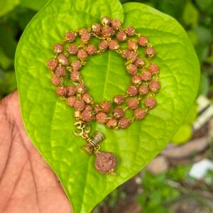 Rudraksha Gold Plate Mala With Om Damaru Dollar 7mm