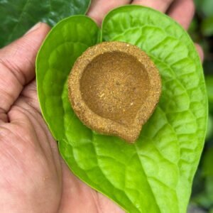 Panchakaviya Vilakku(Diya)