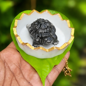 Pyrite Turtle for Vaastu
