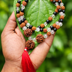 Karungali and Spatika with Rudraksha Dollar Mala