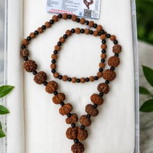 Rudraksha 1-14 Face Ganesh Gouri Shankar Siddha Mala